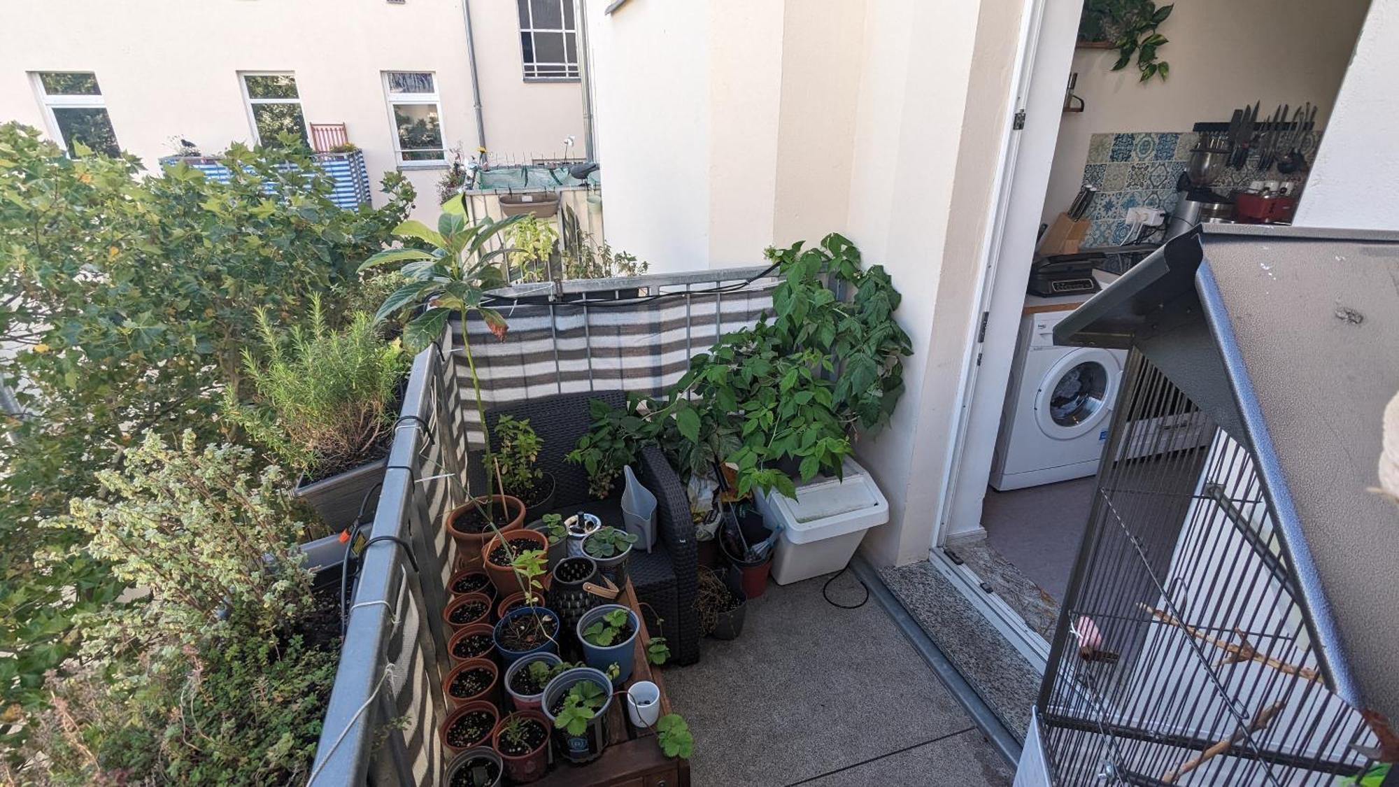 Cosy Flat In Berlin'S Trendy Area Apartment ภายนอก รูปภาพ