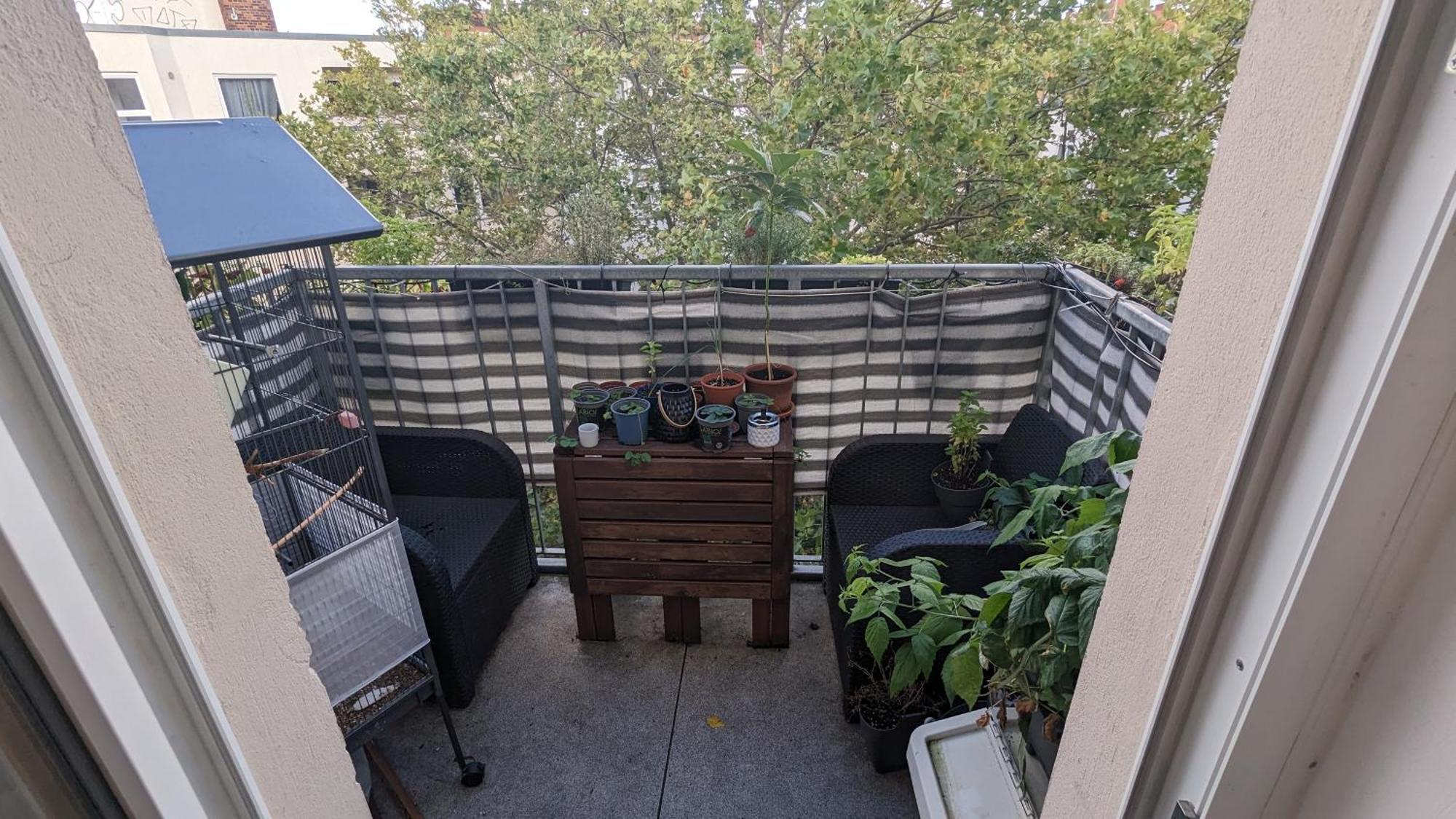 Cosy Flat In Berlin'S Trendy Area Apartment ภายนอก รูปภาพ